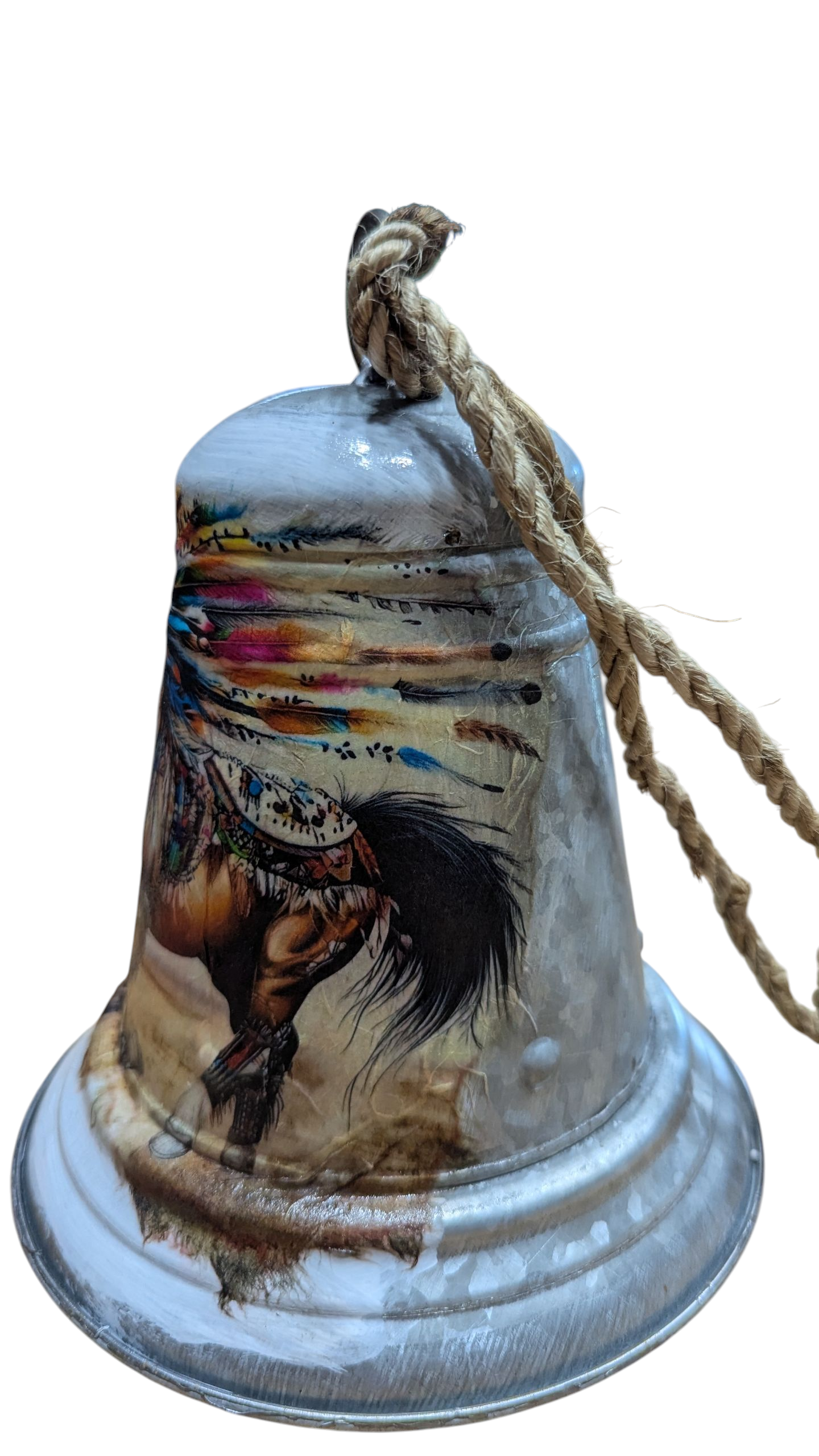 Native American Warrior Horse