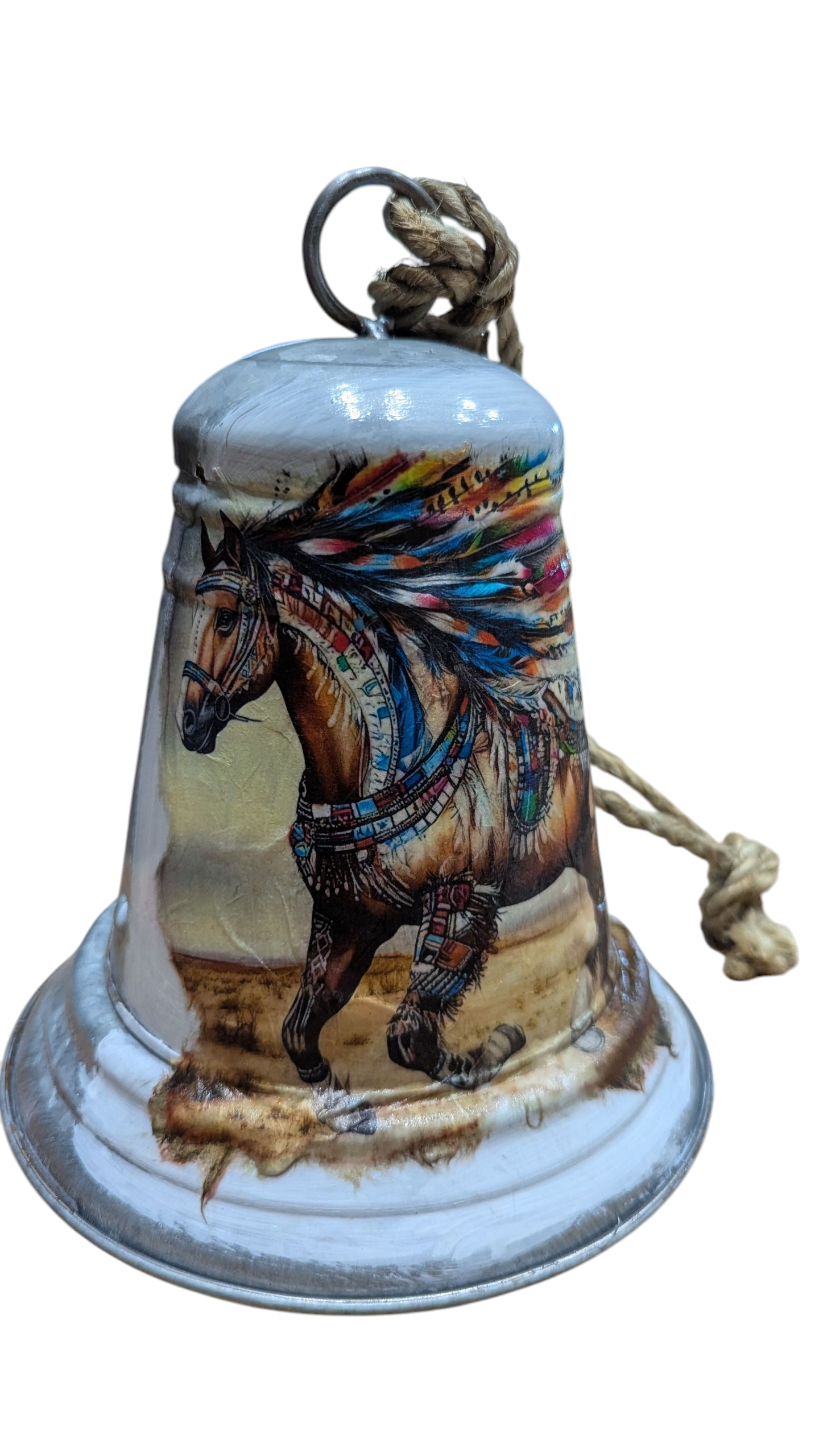 Native American Warrior Horse