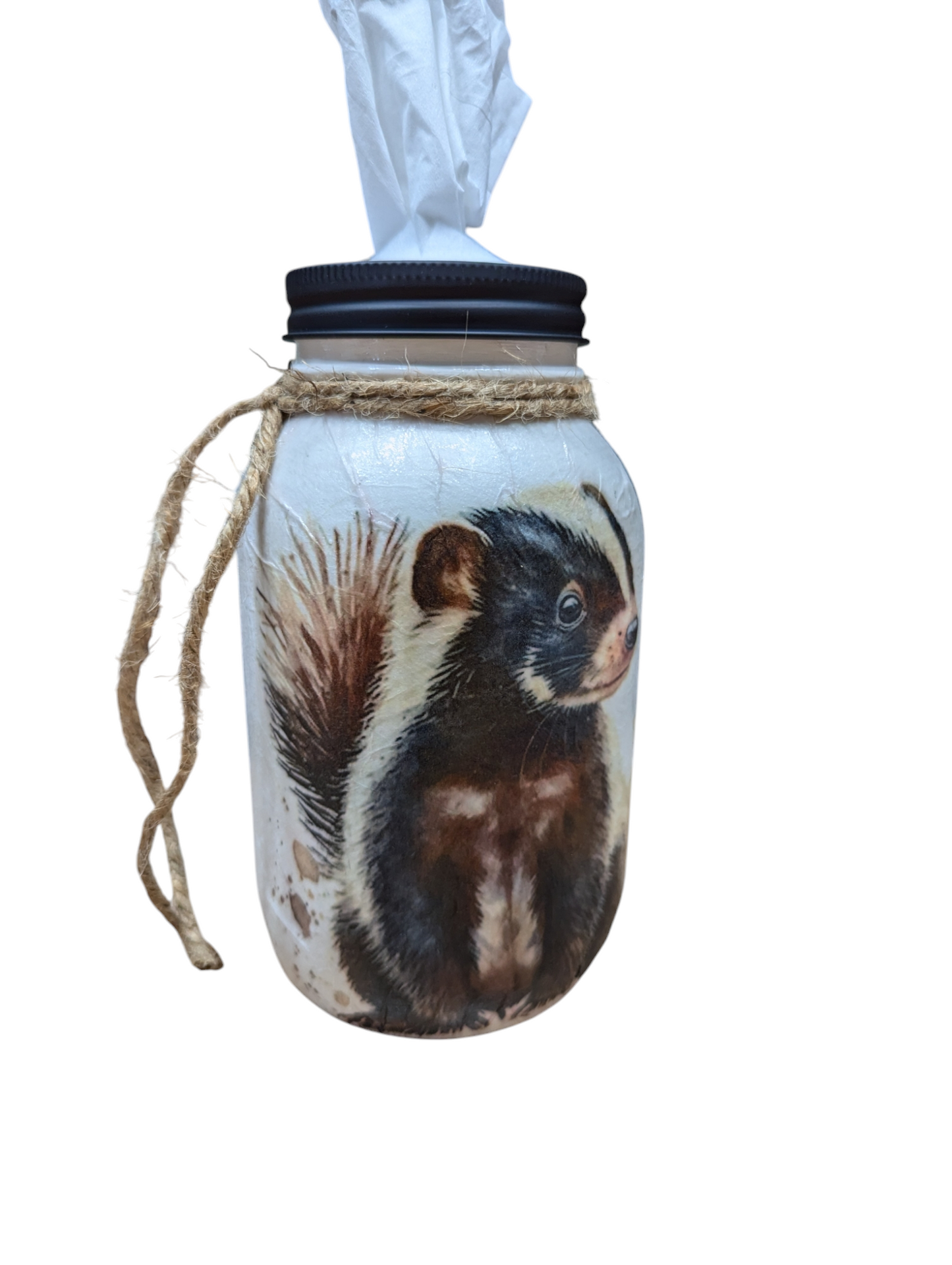 Adorable Skunk Mason Jar with Lid Choice (soap pump, tissue dispenser, coin bank, vase, light)