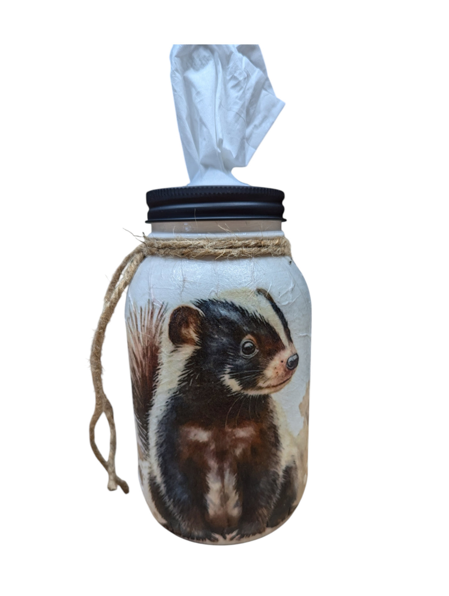 Adorable Skunk Mason Jar with Lid Choice (soap pump, tissue dispenser, coin bank, vase, light)