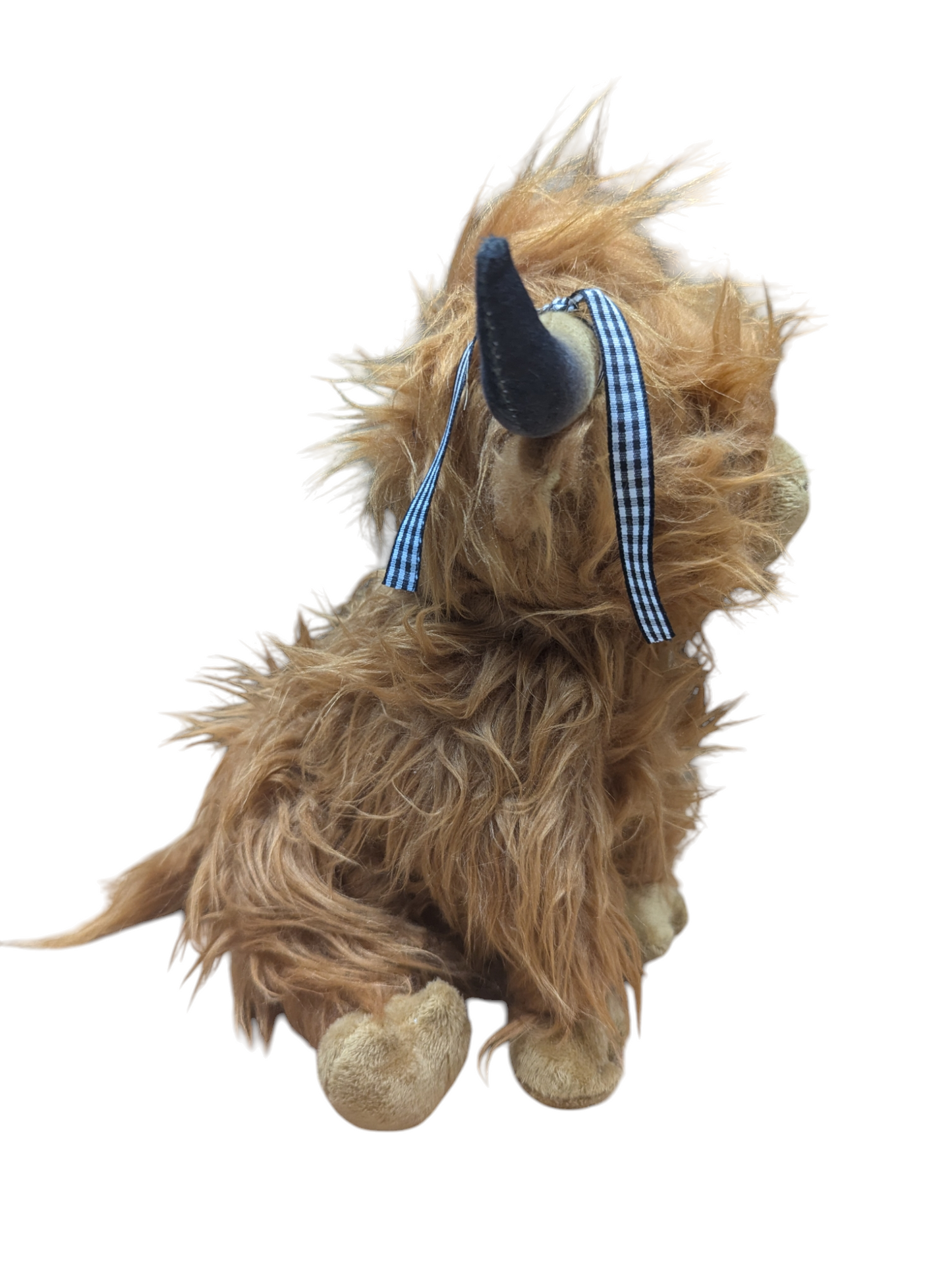Adopt a Highland Cow