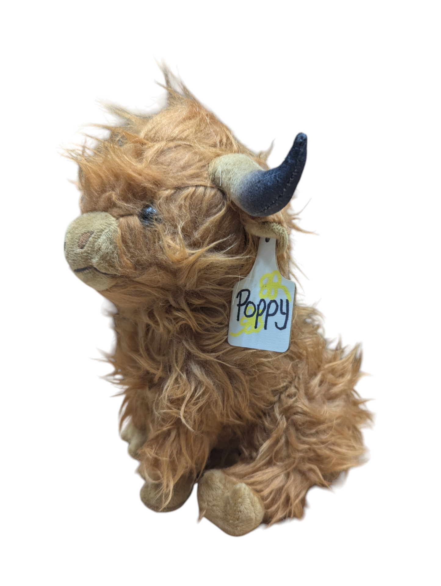 Adopt a Highland Cow