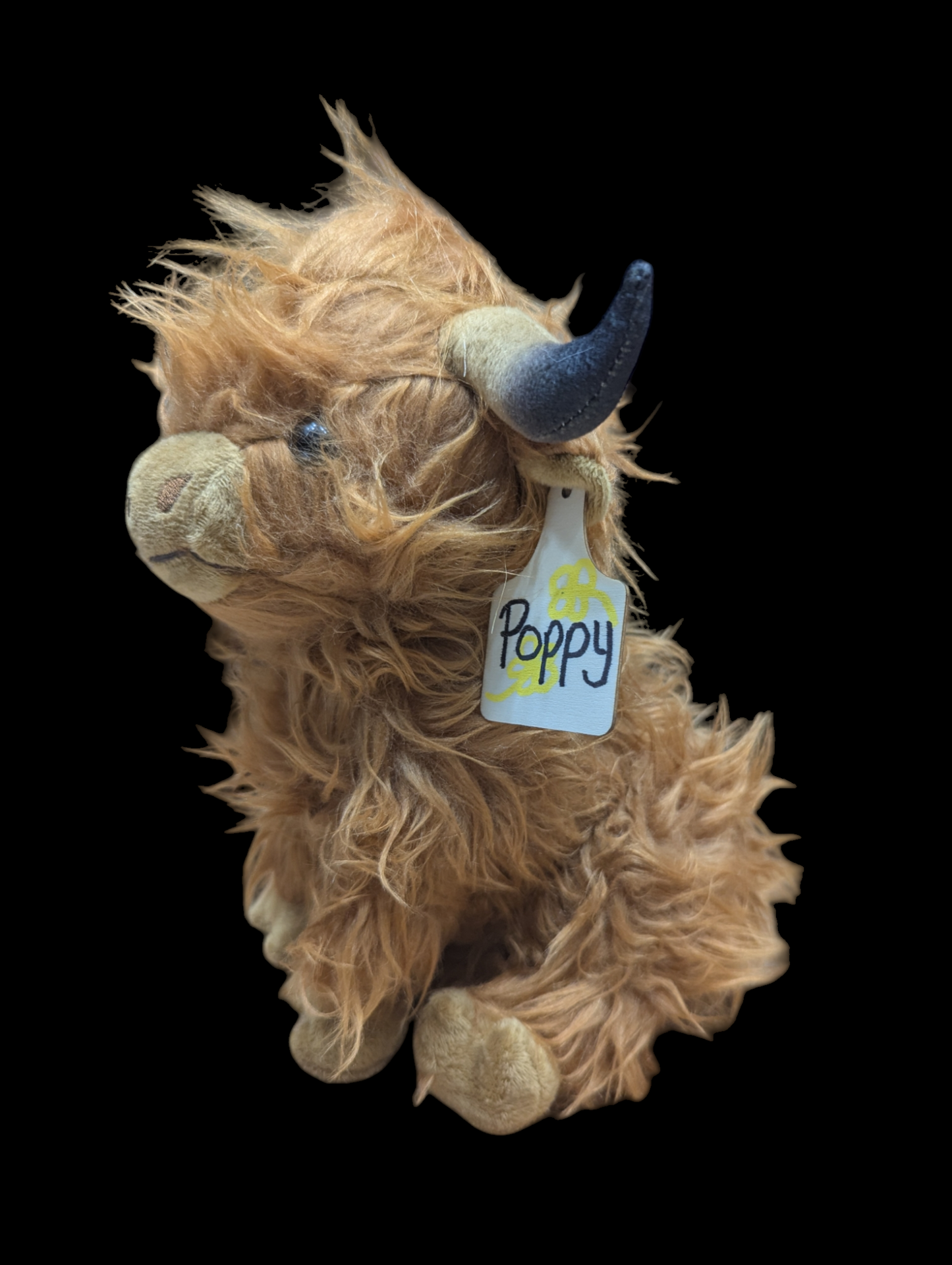 Adopt a Highland Cow