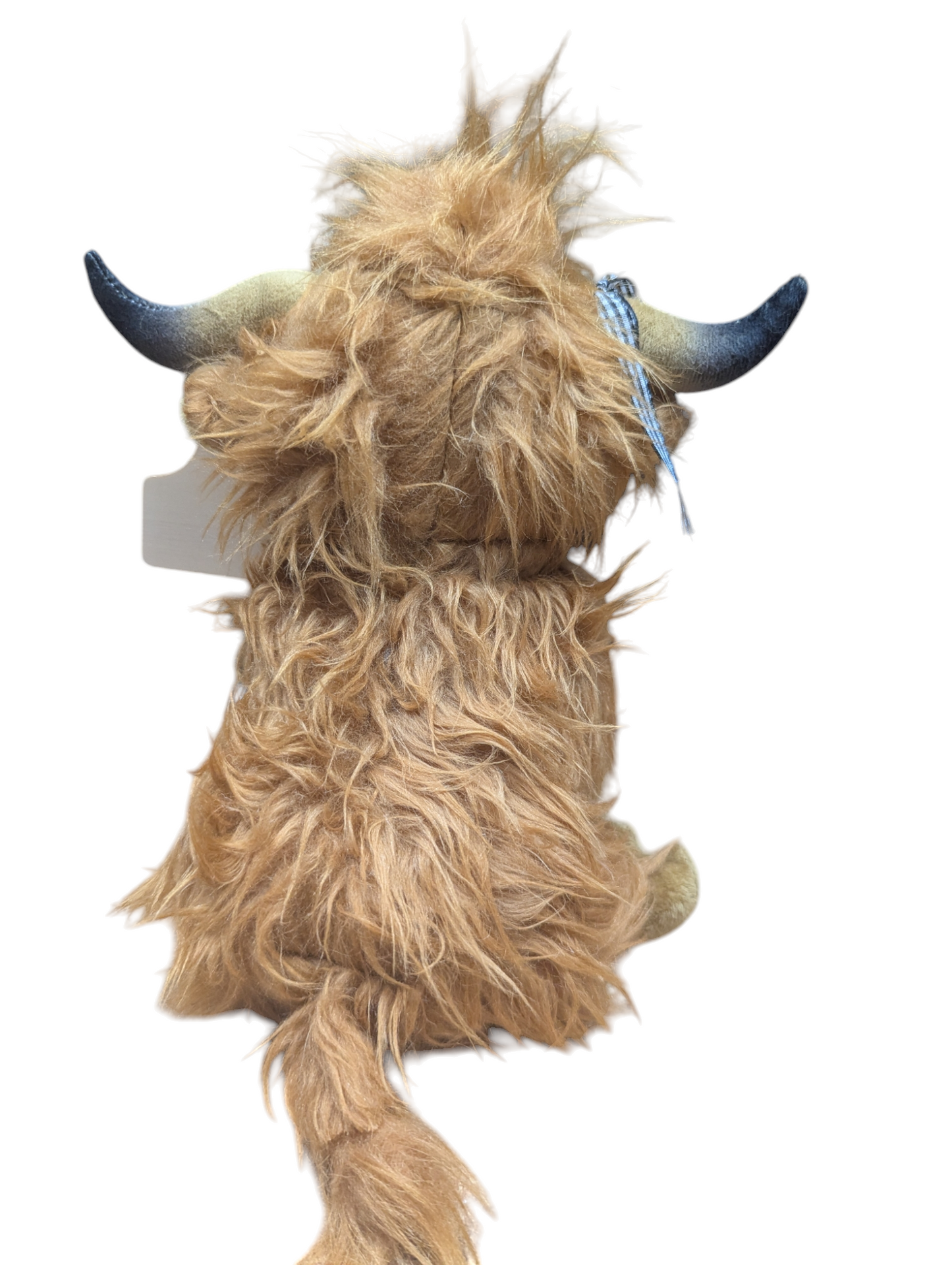 Adopt a Highland Cow
