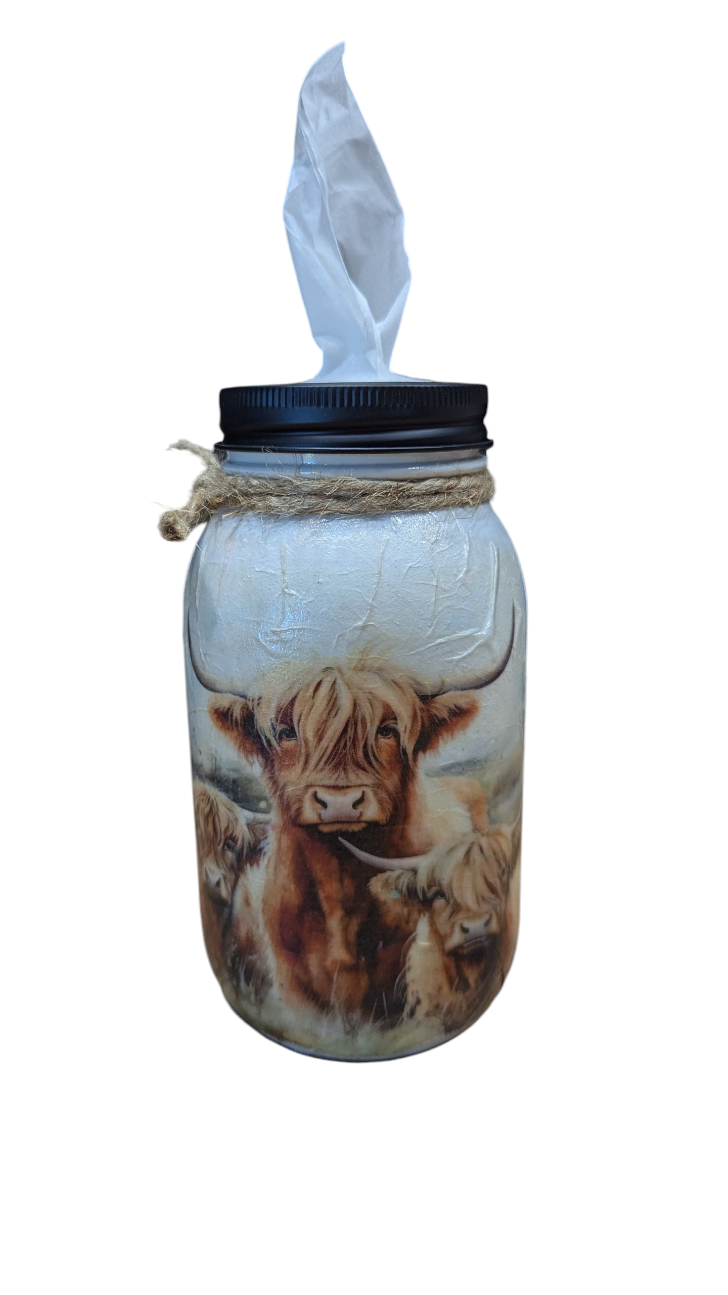 Highland Cow with Babies Mason Jar