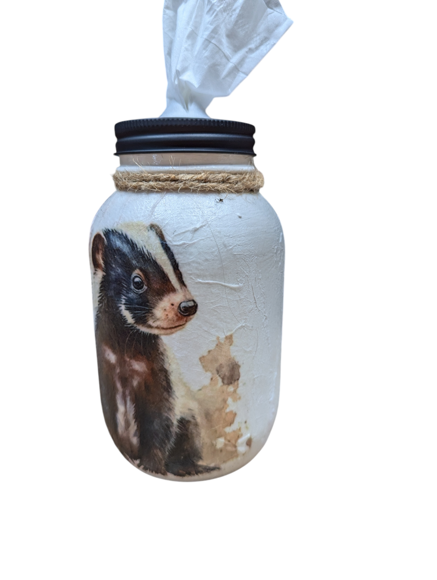 Adorable Skunk Mason Jar with Lid Choice (soap pump, tissue dispenser, coin bank, vase, light)