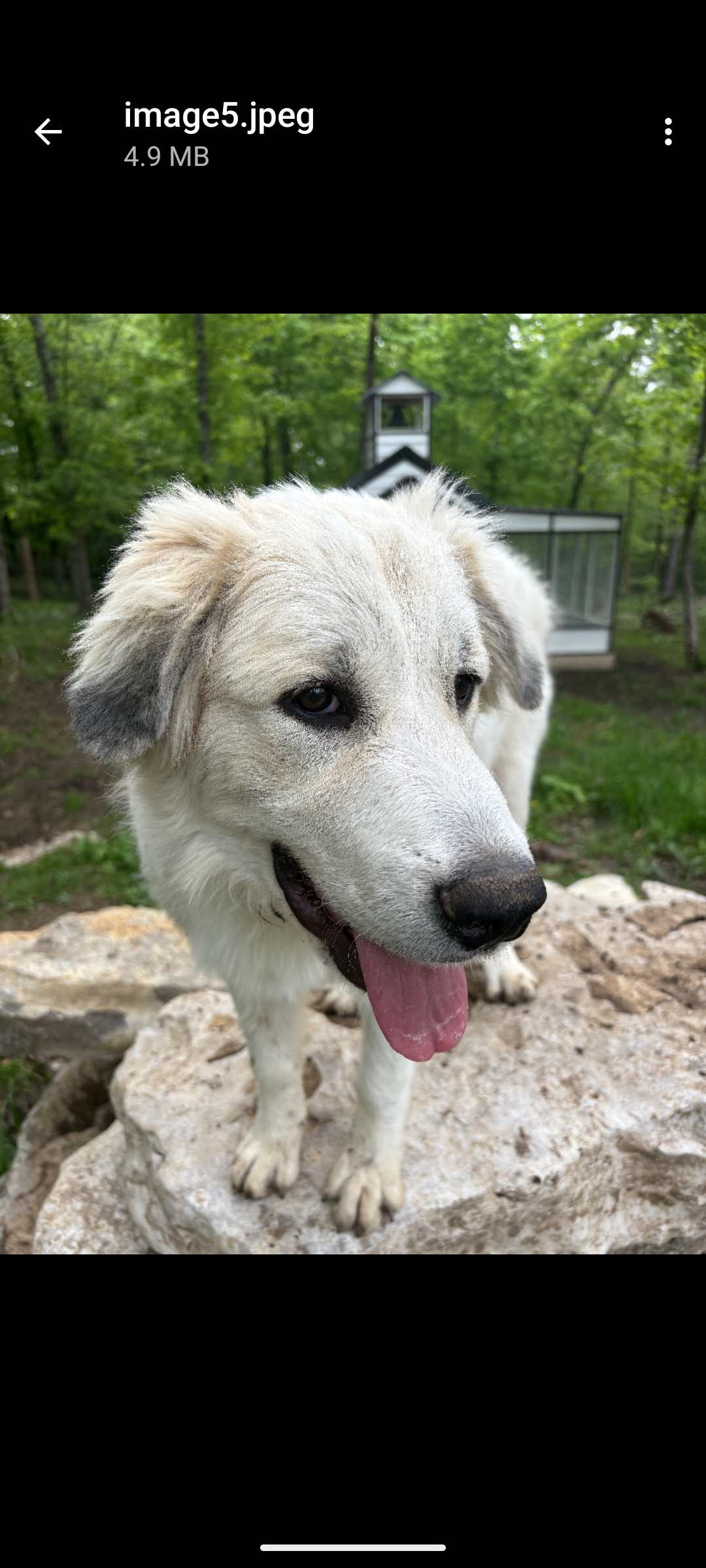 Untitled Nov29_13:05