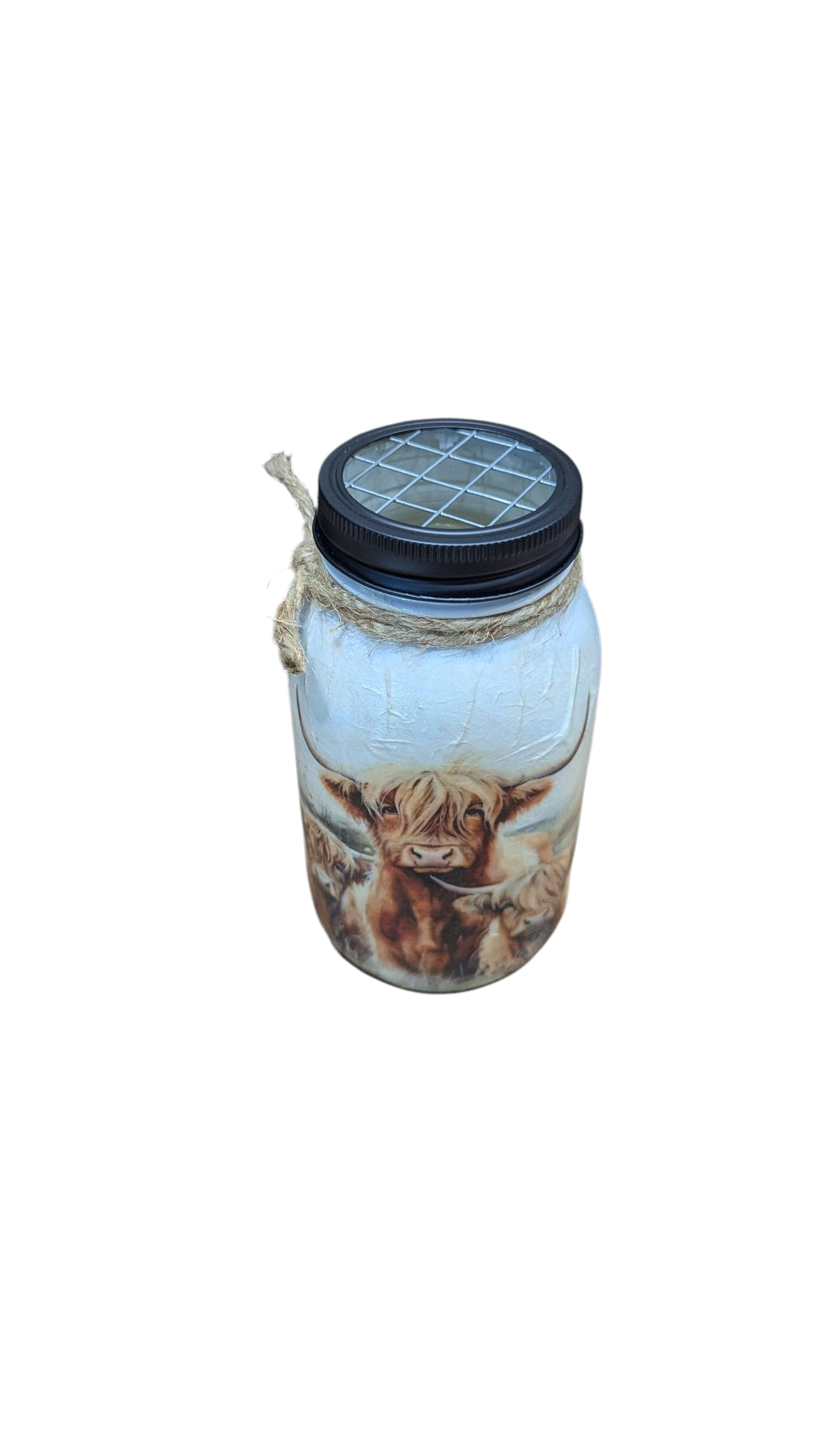Highland Cow with Babies Mason Jar